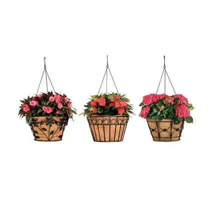 Deer Park Blk Hanging Basket Variety Pk 2 Floral Daisy Ribbon Arch