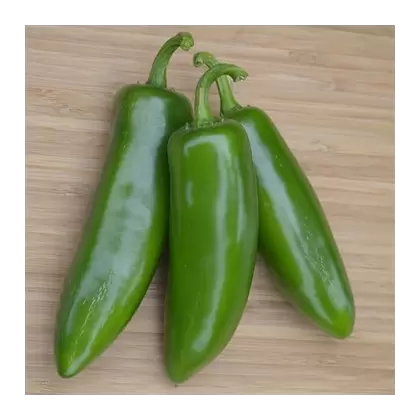 Peppers, Tricked You Treated - 100 Seed Count