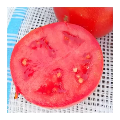 Tomato, Husky Red Hybrid Treated - 1,000 Seed Count