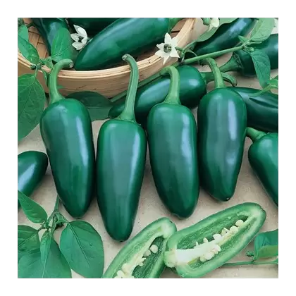 Peppers, Early Jalapeno - 1,000 Seed Count