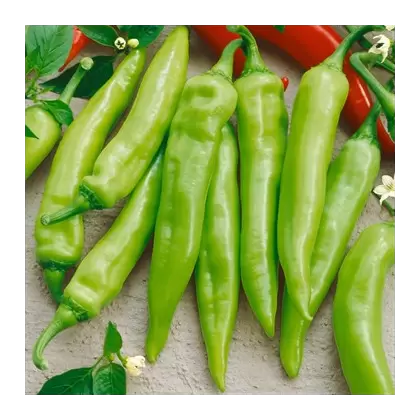 Pepper, Hungarian Sweet Wax 1,000 Seed Count