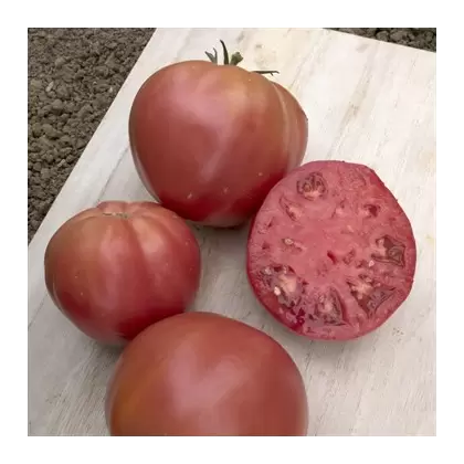 Tomato, Brandywine Pink Potato Leaf - 500 Seed Count