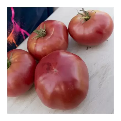 Tomato, Mortgage Lifter - 500 Seed Count