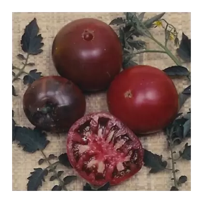 Tomato, Black Krim - 500 Seed Count