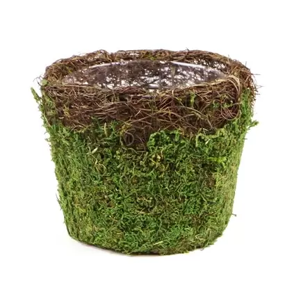 SuperMoss Med Deco Basket Vineyard Fresh Green