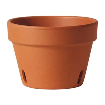 Southern Patio 6" Orchid Clay Pot