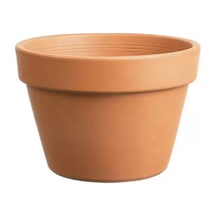 Southern Patio 8" Azalea Clay Pot