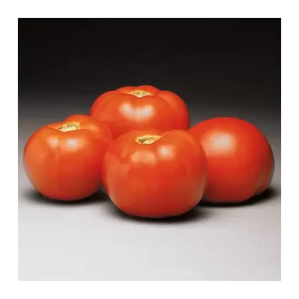 Tomato, Better Bush - 100 Seed Count