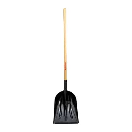 Corona Plastic Scoop