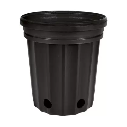 HC Dillen Elite 300 Nursery Pot, Blow Molded, Trade 1 Gallon, Black, 65 per Bundle, 168 Bundles per Pallet, 6.5in x 7.00in, 3.00 Quart, 1Gallon