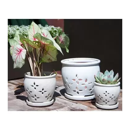 Verandah 6.0" Wsp Hilo Orchid Pot