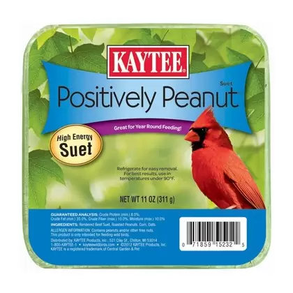 Kaytee 11oz Positively Peanut Suet
