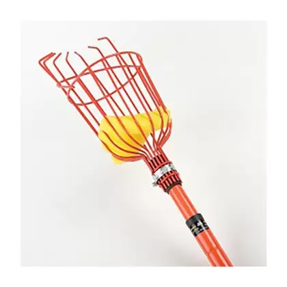 Organic Tool 104" Long Fruit Picker with 12" Basket & Telescopic Handle