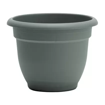 Bloem 12" Ariana Planter Basil