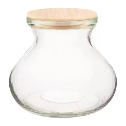 SSI 6" Vase Terrarium with Lid & Light