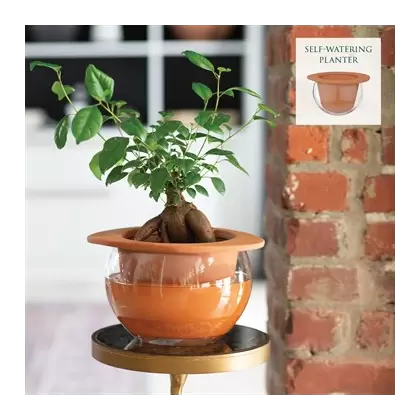 SSI 8.75" Self Watering Planter Terra