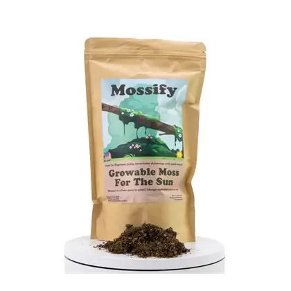 Mossify Sun Growable Moss