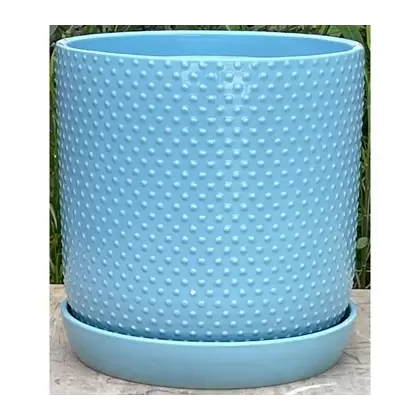 PHG 7"x7.5" Dotted Cylinder Planter Pastel Light Blue 6/CS