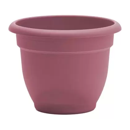 Bloem 6" Ariana Planter Dusty Rose