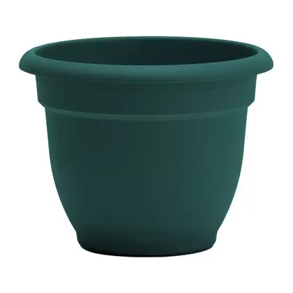 Bloem 6" Ariana Planter Charleston Green
