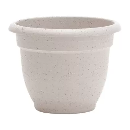 Bloem 6" Ariana Planter Vanilla Bean