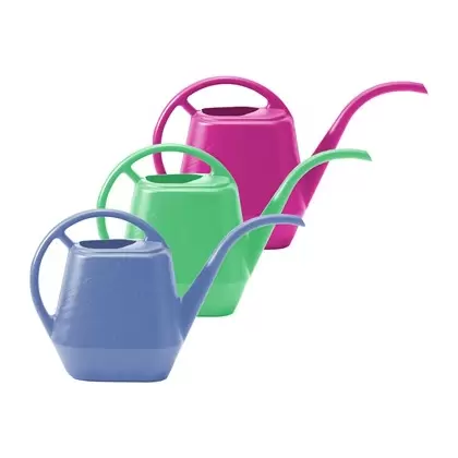Bloem 56oz Aquarite Watering Can Mixed Case Trend Colors