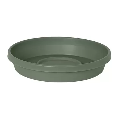 Bloem 8" Terra Saucer Basil