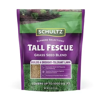 Schultz 5