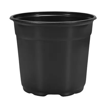 DILLEN 15CM ROUND SHORT COEX POT GREEN/BLACK 680/CS, 32CS/PL, 6"x4.25", 1.3qt