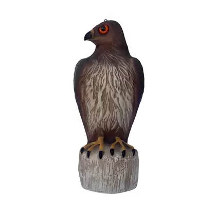 Bird B Gone Hawk