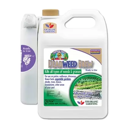 Captain Jacks 128oz Deadweed Brew RTU Pistol
