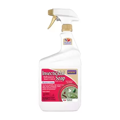 Bonide Qt Insecticidal Soap RTU