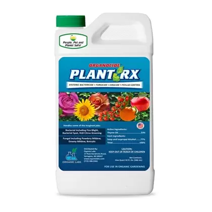 Organocide 1 Quart Plant RX Concentrate