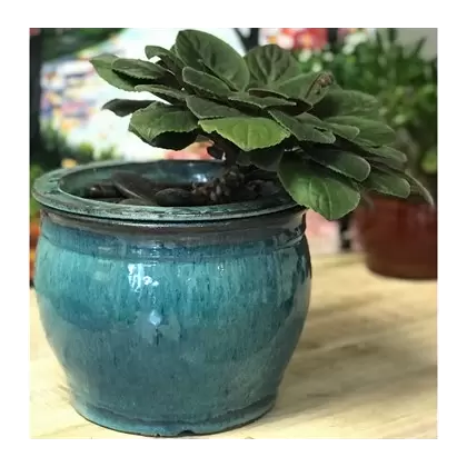 Verandah 3x2.5 Round Self Watering Jade