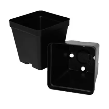 T. O. Plastics 03.50 Press Fit Pot Square Vacuum Deep 350 Black 450 Per Case 48 Cases Per Pallet 700026C Use With 705130C Tray