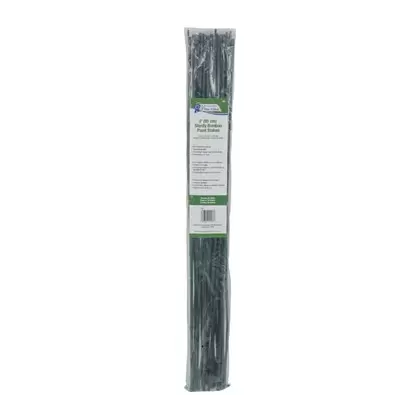 Gardener's Blue Ribbon 25pk 3' Bamboo 6-8mm Green