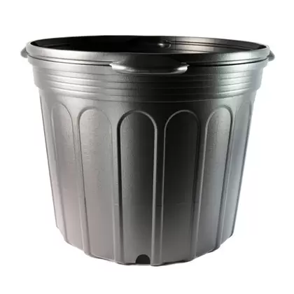 NS 2100CU CUSTOM, TRADE SIZE 5 GALLON SQUAT, 5.17 GALLON, BLACK 31/CS 27CS/TOWER (14"X9-7/8"), 5Gallon