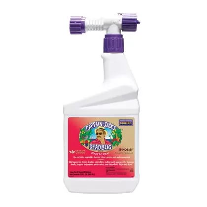 Bonide Qt Dead Bug Brew RTS With Hose End Sprayer