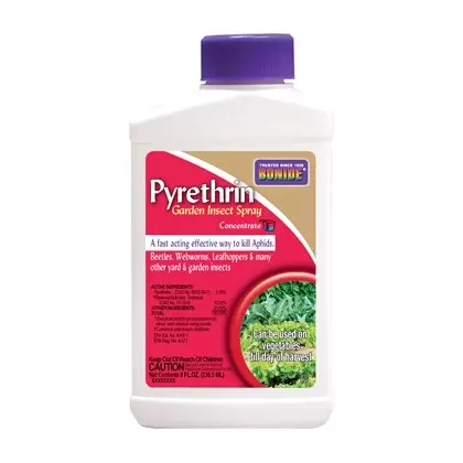 Bonide 8oz Liquid Pyrethrin Concentrate
