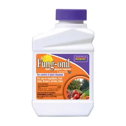 Bonide Pt Liquid Fungonil w/ Daconil Fungicide