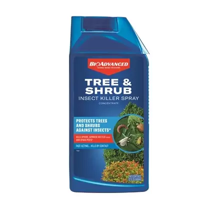 BioAdvanced 32 oz Tree & Shrub Concentrate Non-Neonic