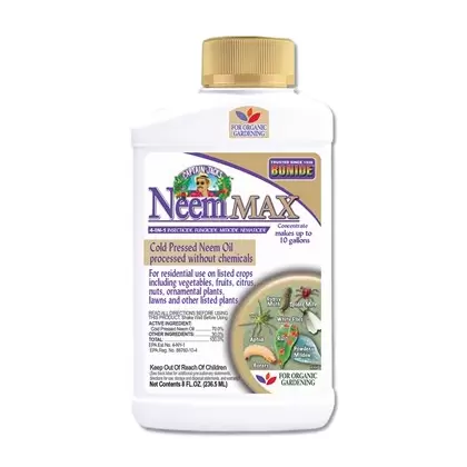 Captain Jacks 8oz Neem Max