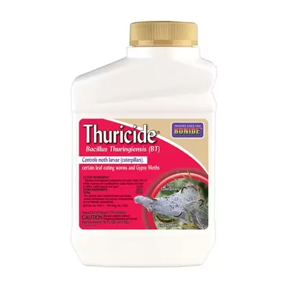 Bonide Pt Thuricide (BT) Concentrate