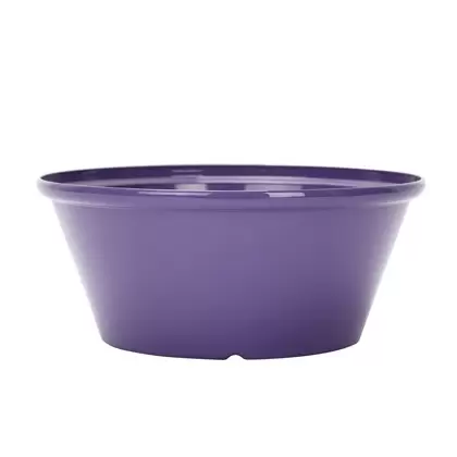 Gardener Select 12" Tulip Bowl Purple Planter 15/CS
