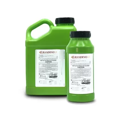 Grandevo WDG 6Lb (6/Cs) OMRI ( Chromobacterium subtsugae strain PRAA4-1 ) Bioinsecticide (Grandevo PTO)