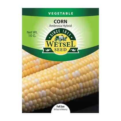 Corn, Ambrosia - 10 Gram
