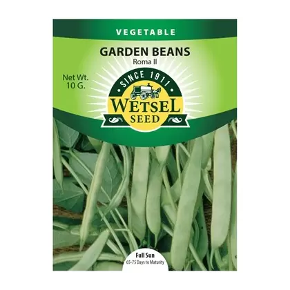 Beans, Roma II - 10 Gram