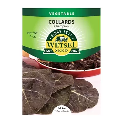 COLLARDS, CHAMPION 4 G.