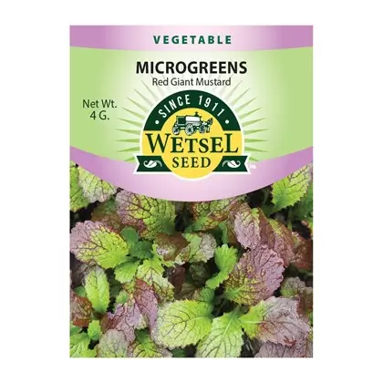Microgreens, Red Giant Mustard - 4 Gram