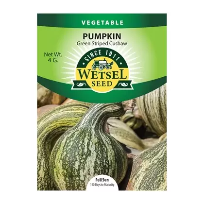 Pumpkin, Green Striped Cushaw - 4 Gram
